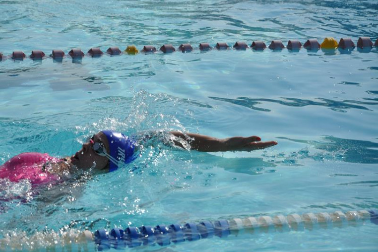 47a46a5b1cd36ba8ec495fc35c6cf7b2