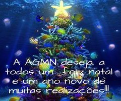 MENSAGEM DE FIM DE ANO AGMN