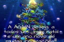 MENSAGEM DE FIM DE ANO AGMN